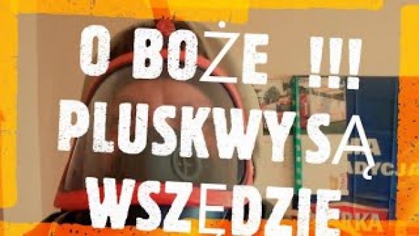 jak zlikwidować pluskwy - domowy sposób na pluskwy - jak pozbyć się pluskiew - dezynsekcja Poznań